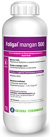 amb_foligal_mangan_500_s_300x300