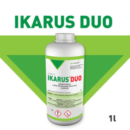 Ikarus Duo