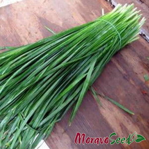 2_moravoseed_new-seeds.com.ua_6_300x300