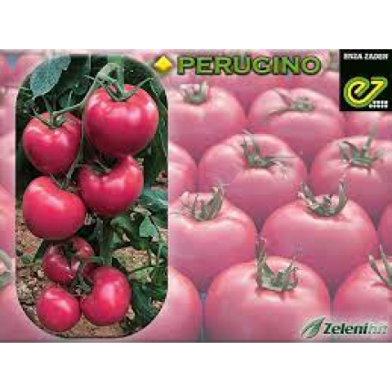 Perugino F1