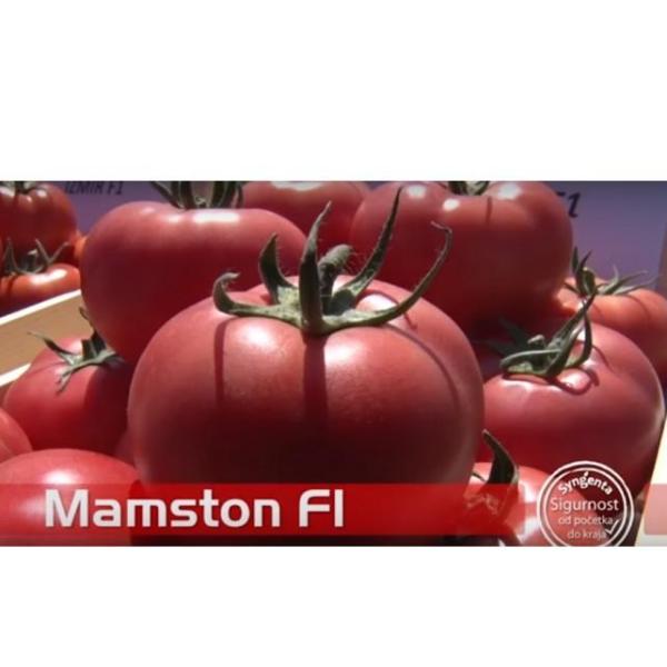 424-mamston_2048x