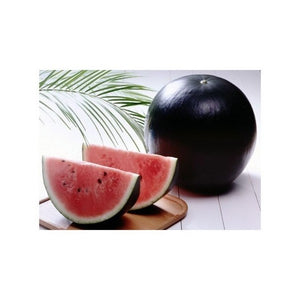 6_4acd3a20-67f6-48a8-b80f-019880784347_300x300