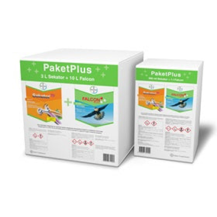 Paket Plus (mali ili veliki)