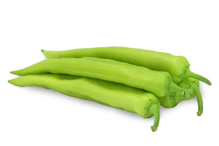 Paprika-NAMIB-F1_Pseno_ZKI_2048x