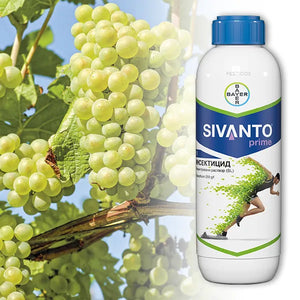Sivanto-Prime_300x300