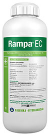 amb_rampa_ec_s_300x300