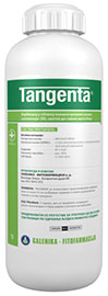 amb_tangenta_s_2048x
