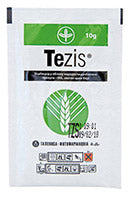 amb_tezis_s_300x300