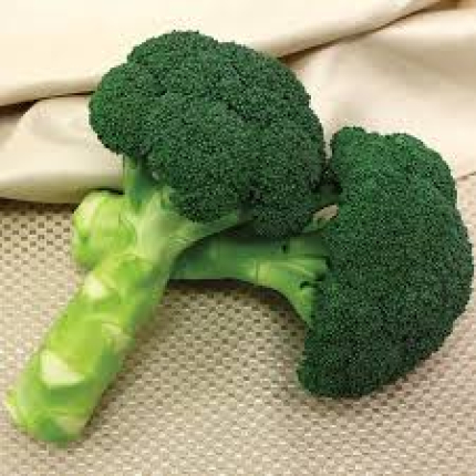 Green Magic F1
