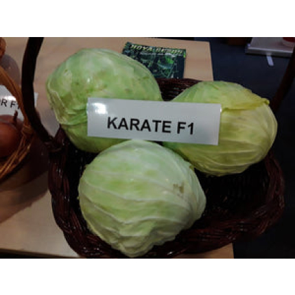 Karate F1