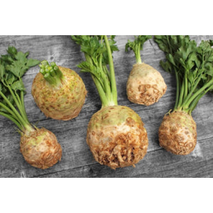 Hansi (Agro Tip)