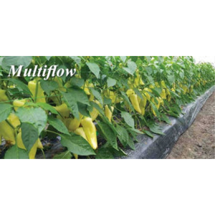 Multiflow F1