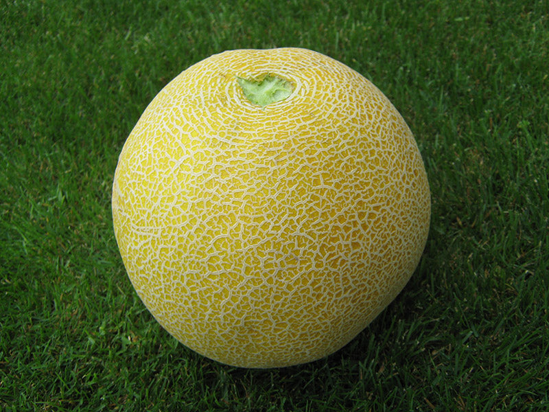 pol1_2048x