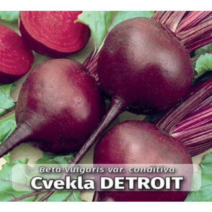 Detroit (MIP seed)