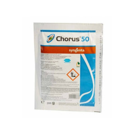 Chorus 50 WG