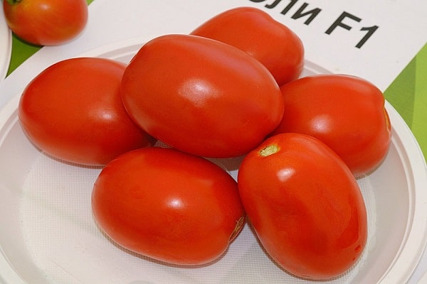 tomat-chibli_1_2048x
